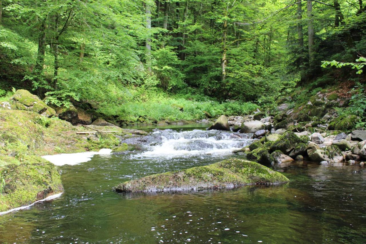 Ferienwohnung Hofleben Reiner Neukirchen vorm Wald Dış mekan fotoğraf